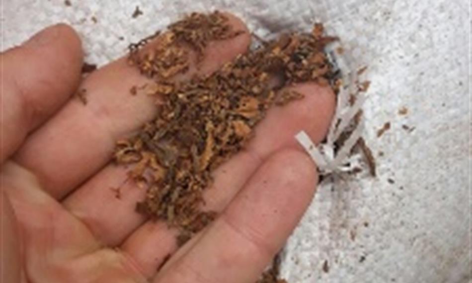 2019-7-15-1326Příloha 2.jpg